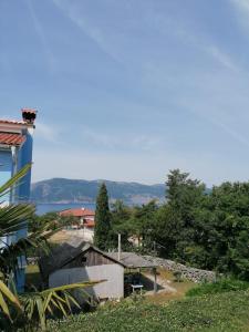 Studio M