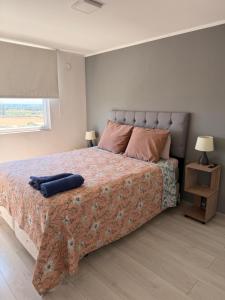 Dep moderno al costado de HHRR , parking privado , wifi , cercano a panamericana 5