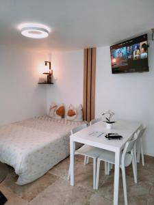 Duplex Hyper centre-ville 10