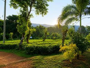 Aura Hilltop Matale