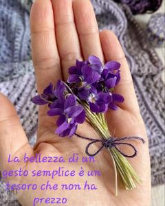 B&B degli Allori