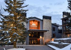 Timberline Condominiums 1 Bedroom Deluxe Unit A1C