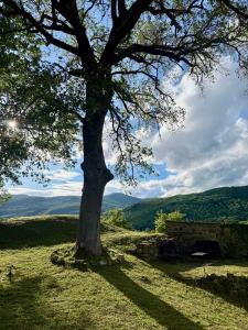 La Corte Di Ranco