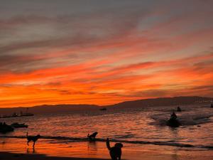 Flamante Atardecer