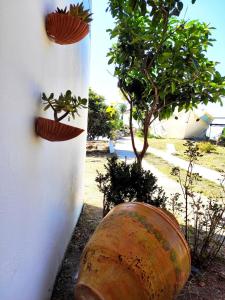 Psalidi beach house