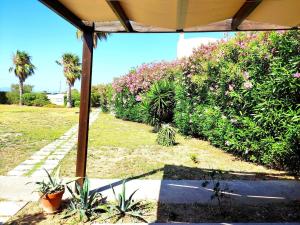 Psalidi beach house