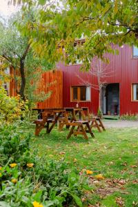 Aire de montaña: Tú refugio en Bariloche