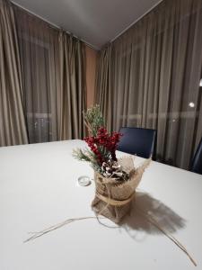 Adria Apartments