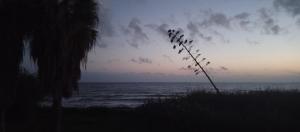 R&R la fornace al mare