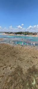 Eco Life MuroAlto| Apt.Cavalo-Marinho 3Q| By Manta