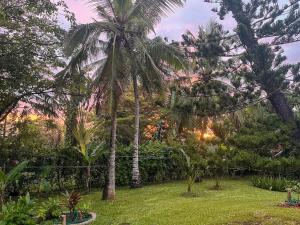 The Palm Oasis 2BR Private Villa