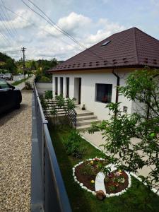 Casa David