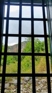 Surrounded by greenery, private, traditional Nebrodis stone houses