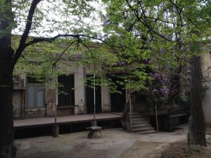 Wisteria 200