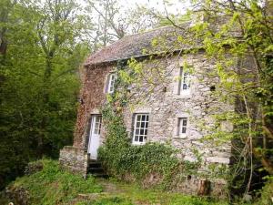 Maisons de vacances Moulin a Orge : photos des chambres