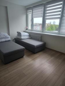 Studio Hetman