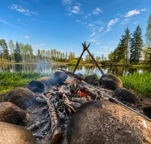 Dragon Treehouse with Hot Tub, Sauna, Private Lake & Deer Park