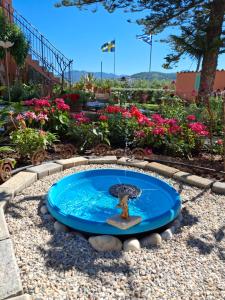 Terra Solaris Guesthouse