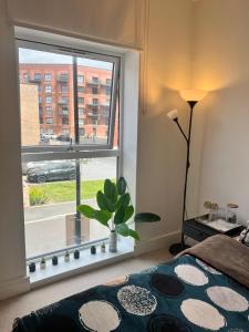 Modern Townhouse Birmingham