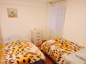 Andrea House Cusco