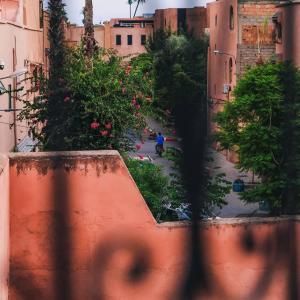 hostel rooftop 19