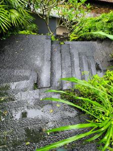 Jungle View Villa Ubud