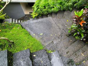 Jungle View Villa Ubud