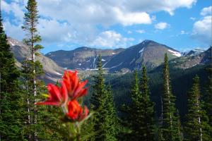 Silver Lining Lodge I Amazing Views I Hot Tub I Sauna I Activity Program