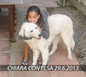 Poggio Alla Fame - Le Grazie