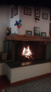 Gli Oleandri di Belfiore