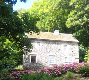 Maisons de vacances Moulin a Orge : photos des chambres