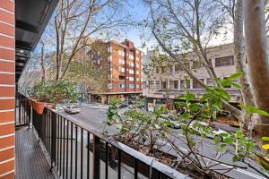 MACL50 - Luxe Pad in Potts Point