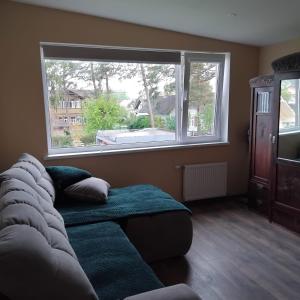 The Dacha apartment