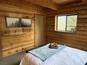 Peaceful Historic Cabins with Stocked Lake & Outdoor Adventures near Swan Valley, Idaho