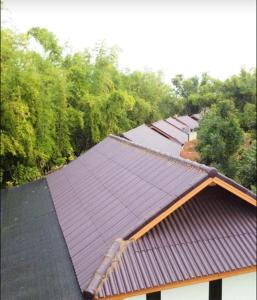 Tara Resort