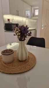 Studio apartman Zana