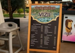 Vizir 301