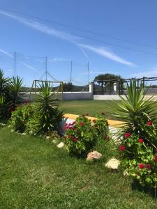 Monte dos Pintos