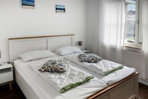 Dorow Ferienwohnung