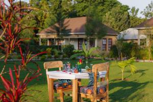 Tanzania Safari Lodge