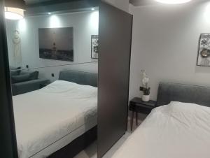 Luxury Semi-Basement Suite Athens