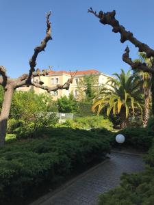 Notre villa Massada