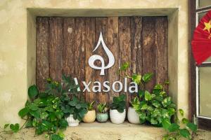 Axasola Tam Coc Homestay and Retreat