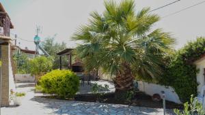 Palm Tree by halu! - Summer house in Poteidaia
