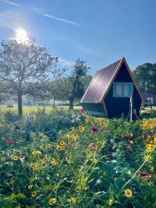 Charming cabin Avondgloed in farmers orchard