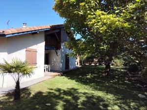 Maison sous les arbres