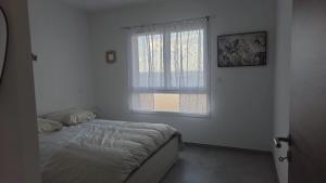 Appartement SARI SOLENZARA