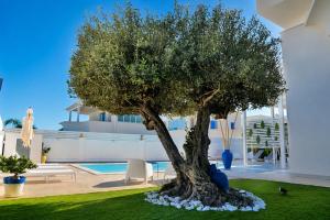 White Wall Home Scala dei turchi