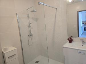 Appartement SARI SOLENZARA