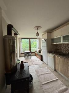 Mountainview Home